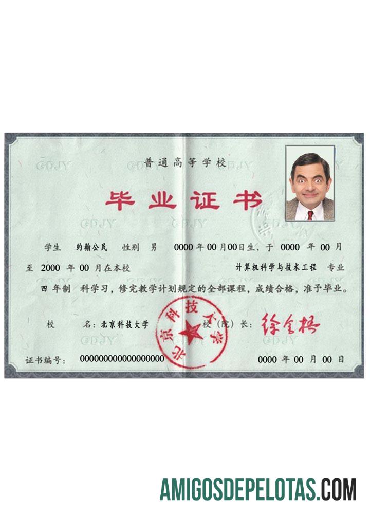 Diploma Chinês amostra